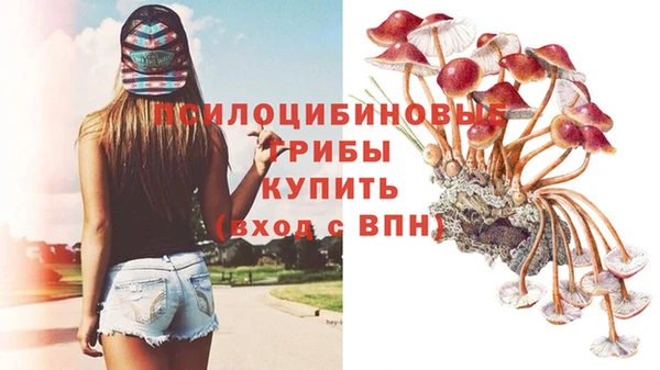 Альфа ПВП Алексин